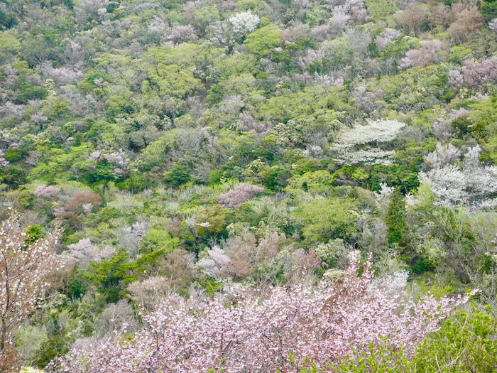 DSC04302