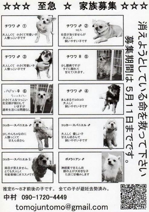 530015_303083253099971_100001948965471_688216_1789415236_n