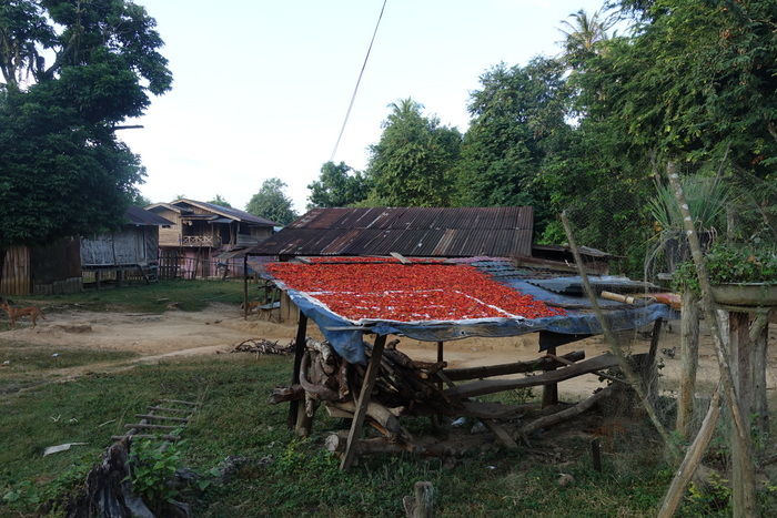 DSC06596