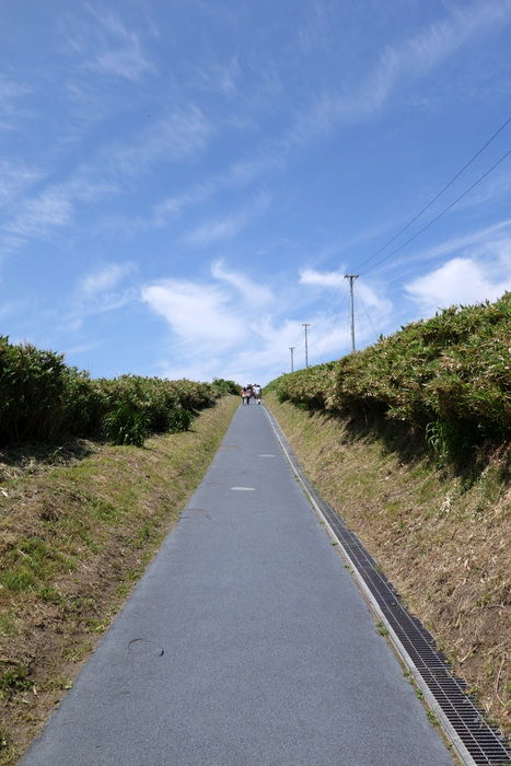 DSC06389