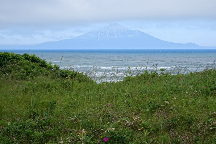 DSC04787