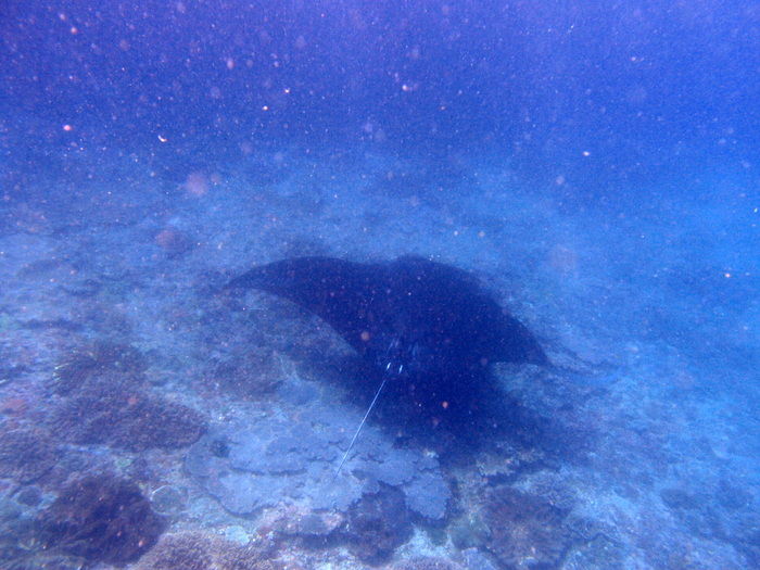 PB090029