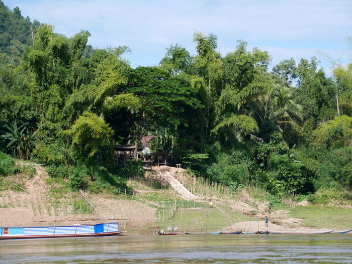 P1760468