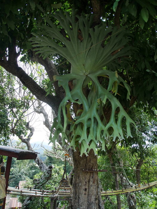 P1760497