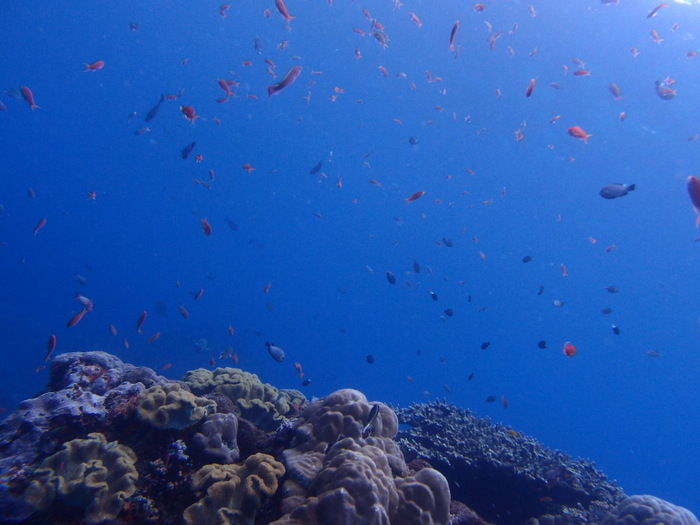 PB090116