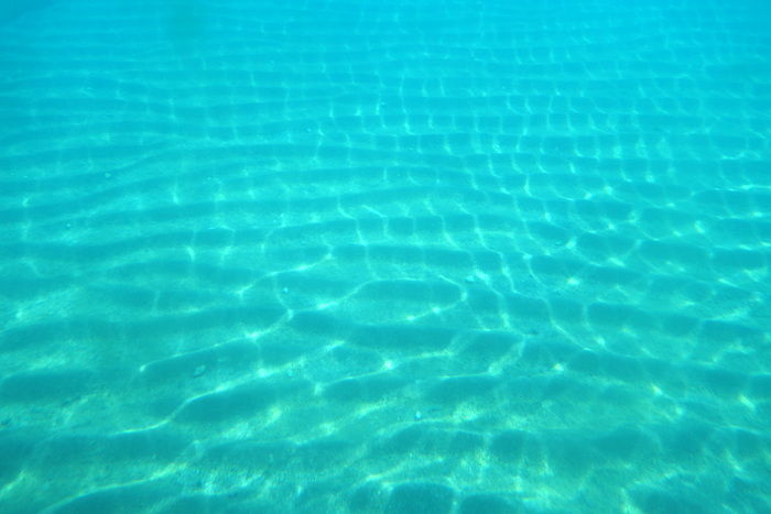 DSC06911