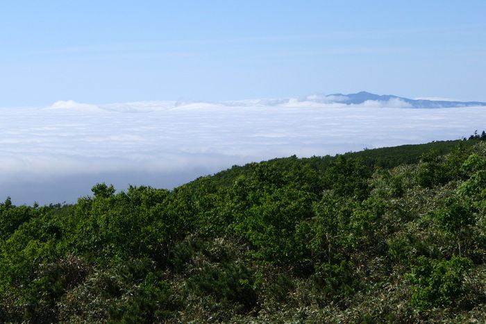 DSC04929
