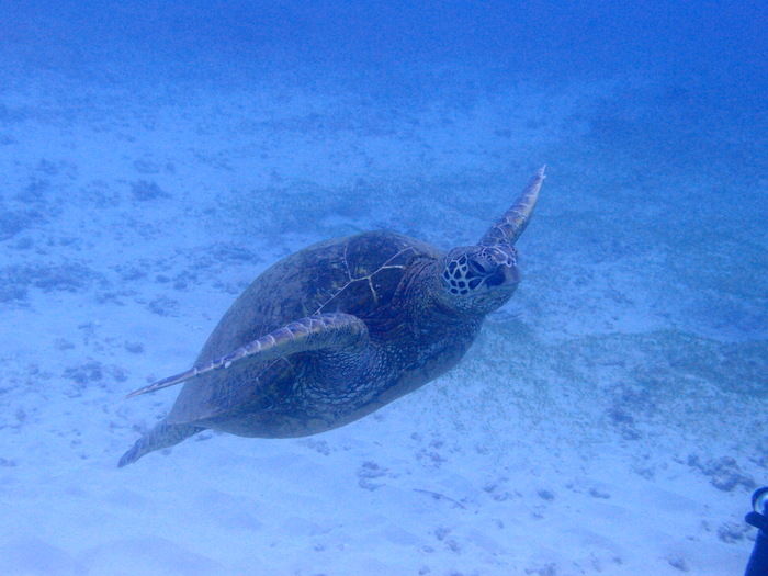 P3091468
