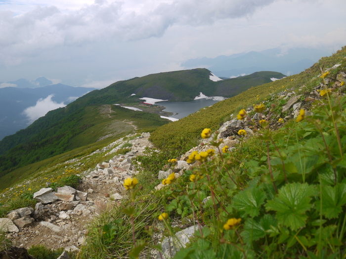 P1000217