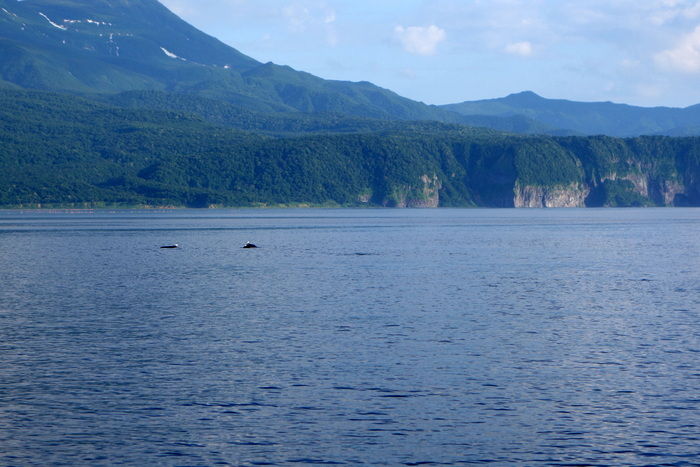 DSC05684