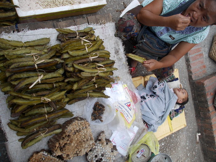 P1760031