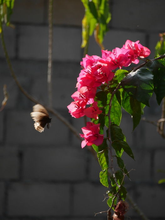 P1760557