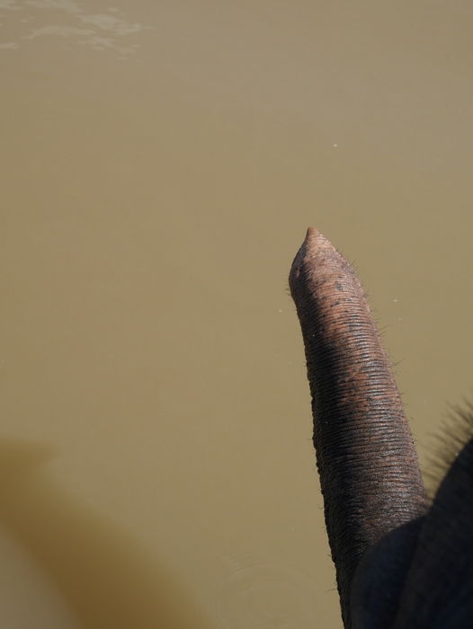 P1760156