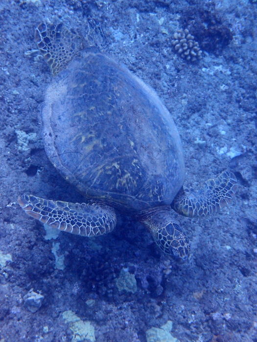 P3121785