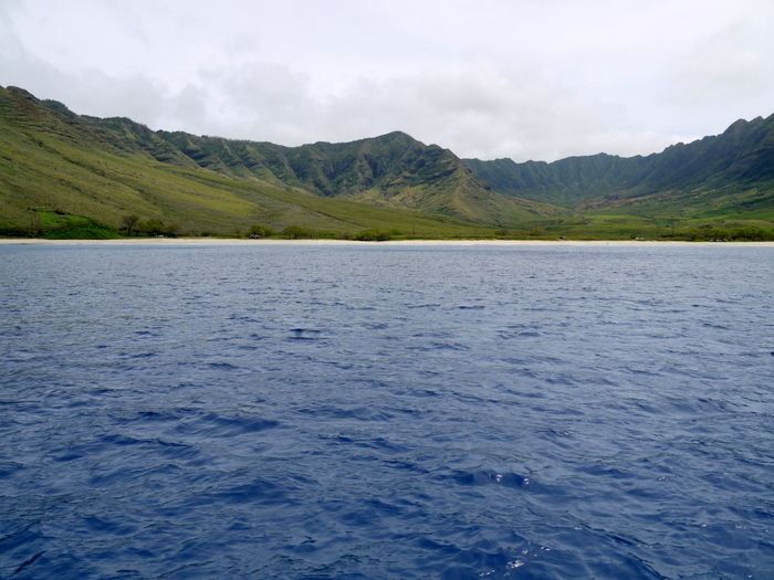 P1190742