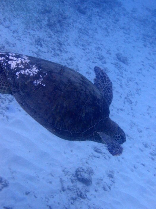 P3091470