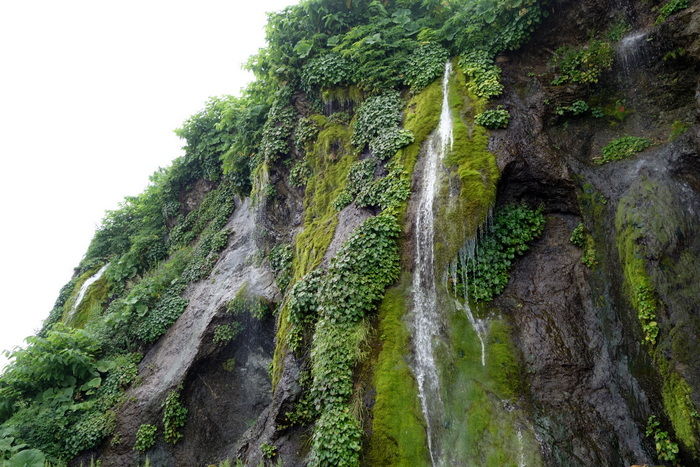 DSC06054