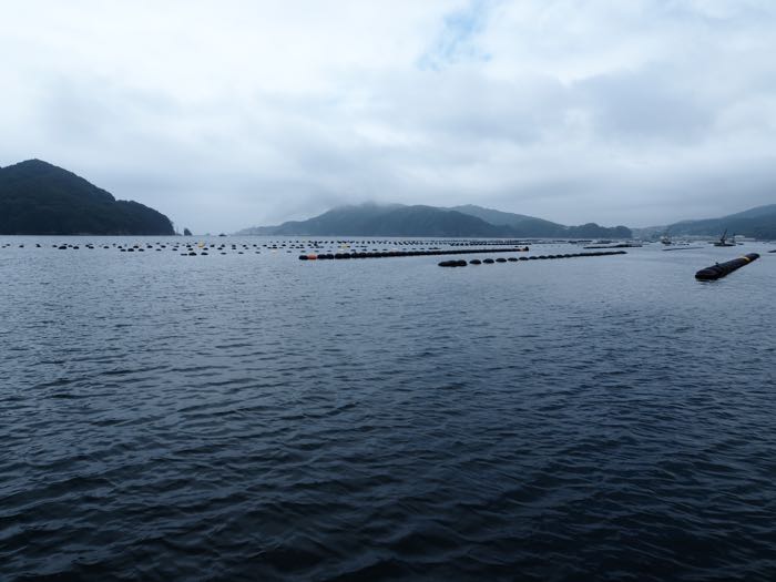 P7160050