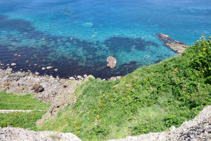 DSC06418