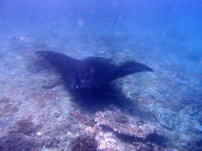 PB090028
