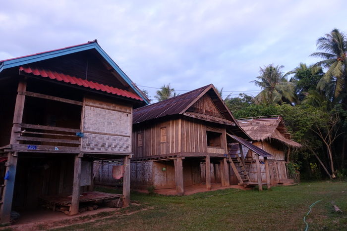 DSC06541