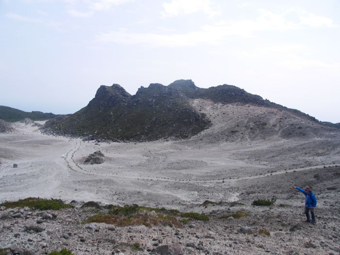 P1800301