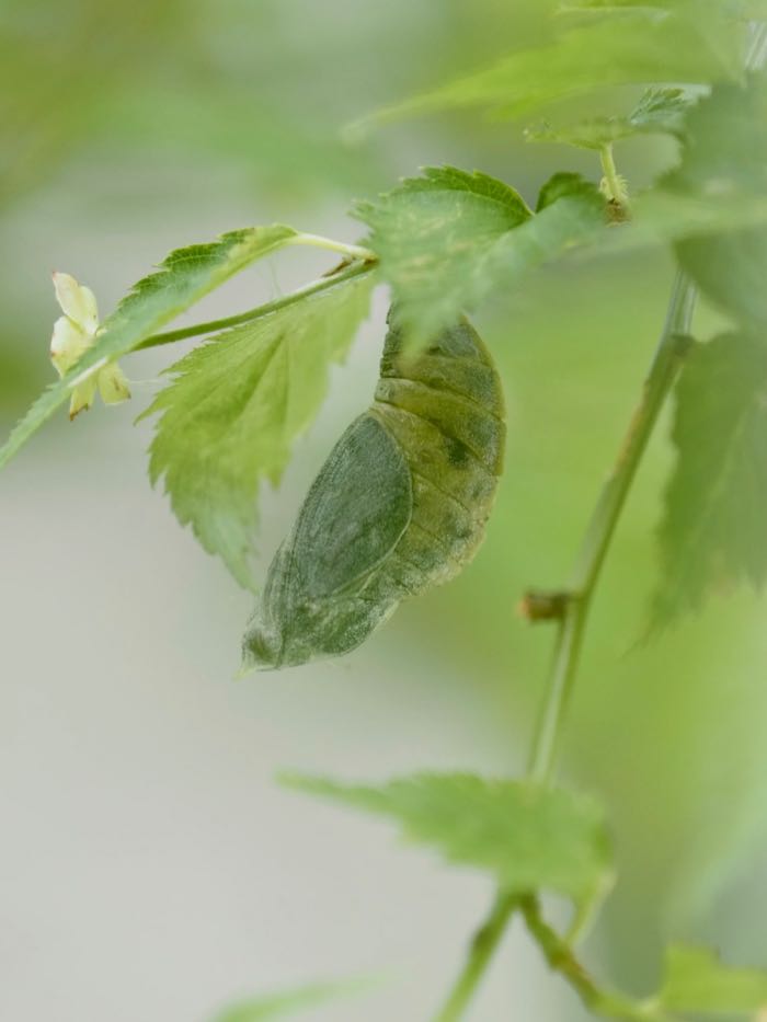 P7020930