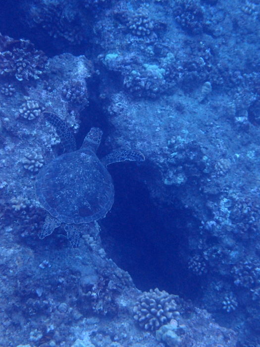 P3121683