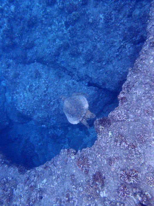 P3121774