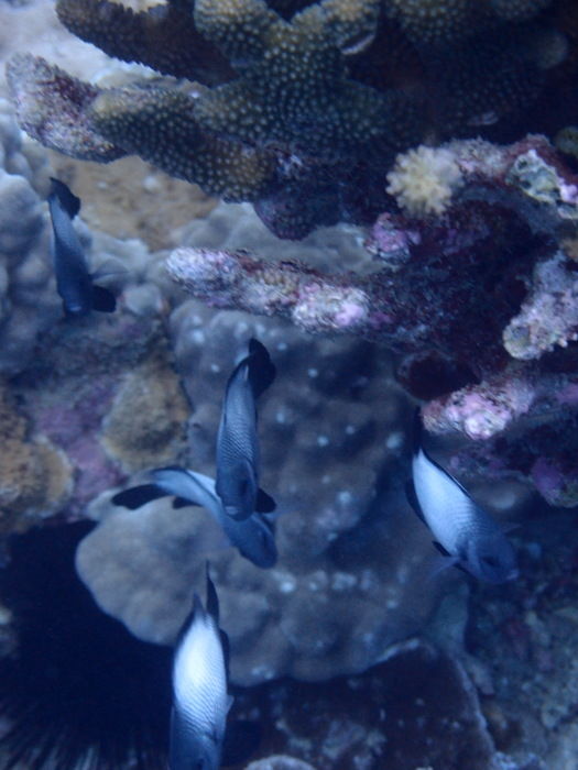 P3091507