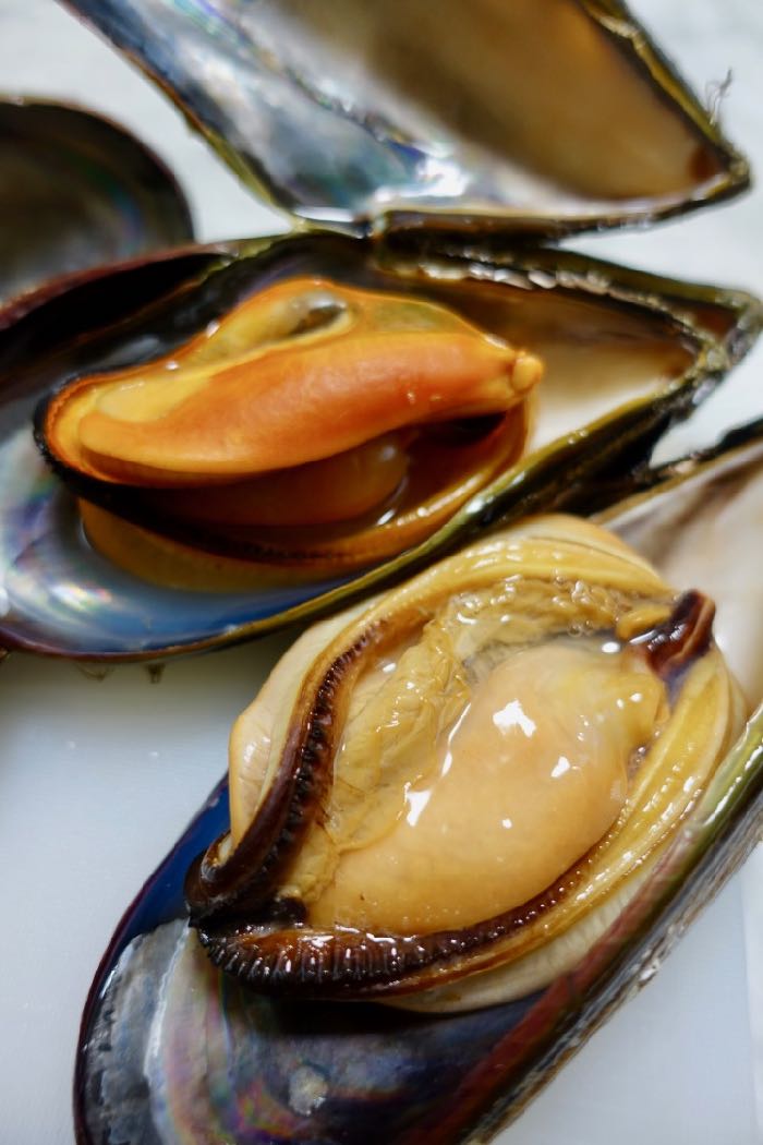 ★希少★ 活き石鯛餌 瀬戸貝 かぶせ釣り カラス貝 セトガイ 30個送料込み ☆希少☆ 活き石鯛餌 瀬戸貝 かぶせ釣り カラス貝 セトガイ 30個送料