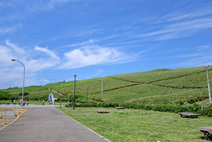 DSC06384