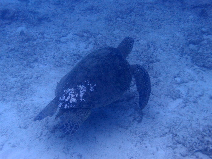 P3091471