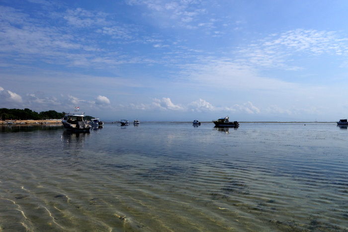 DSC00644
