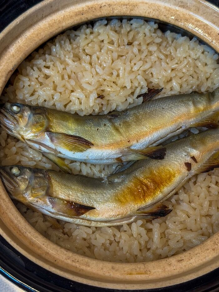IMG_9423