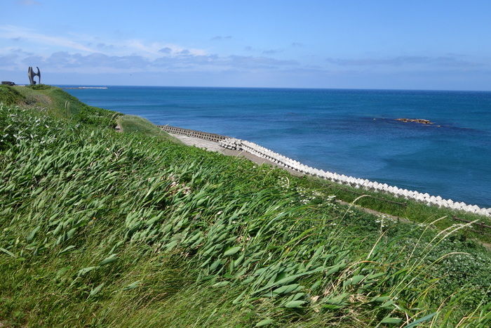 DSC05134