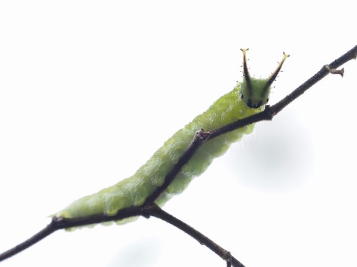 P7021291