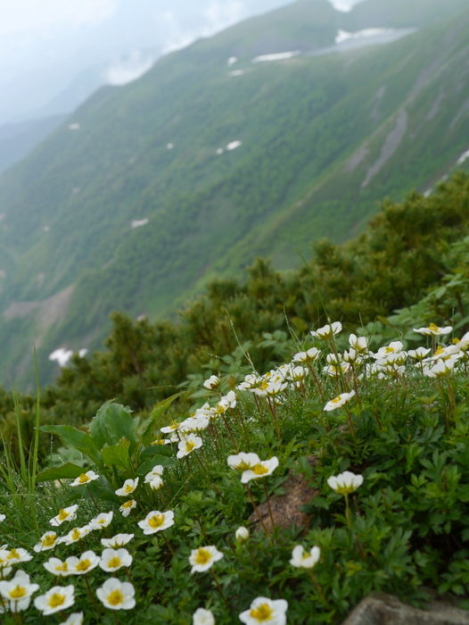 P1050099