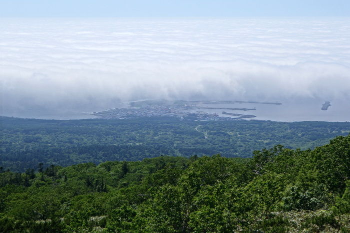 DSC04933