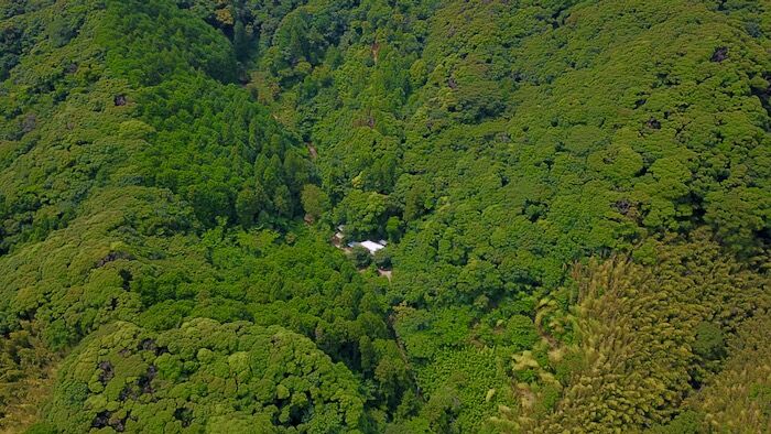 DJI_0017