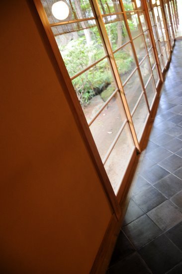 d8417566.jpg