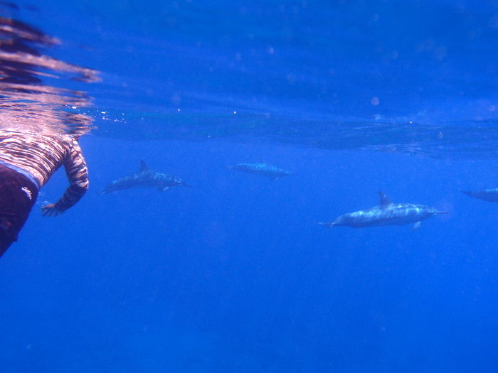P3121593