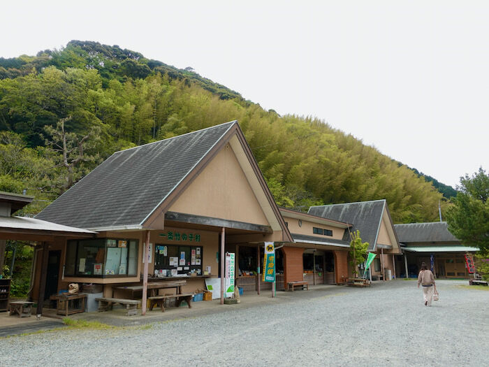 さぷら伊豆 渋谷の平日 伊豆の休日 南伊豆町 季節のお食事処 たけのこ 一条竹の子村 さぷら伊豆 渋谷の平日 伊豆の休日 南伊豆町 季節のお食事処 たけのこ 一条竹の子村