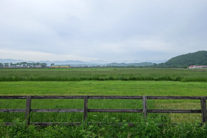 DSC06110