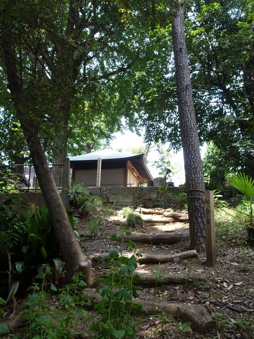 DSC05050