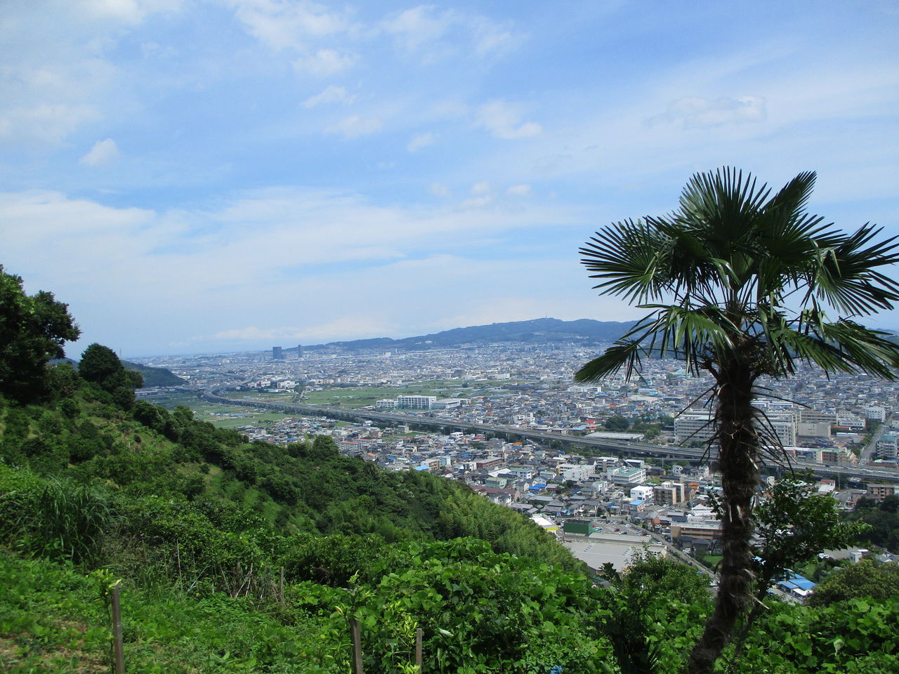 ［ TEKU-LOG ］【賤機山】賤機山縦断作戦（その3）［静岡市］光明地蔵～中盤の農道コメント
