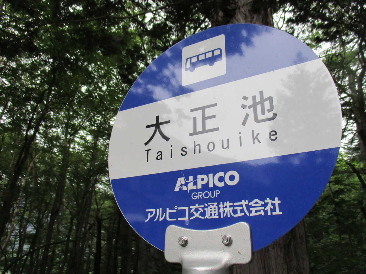 上高地 朝の散歩は しっとりと癒される その1 長野県 さわんどバスターミナル 大正池 Teku Log 上高地 朝の散歩は しっとりと癒される その1 長野県 さわんどバスターミナル 大正池 Teku Log