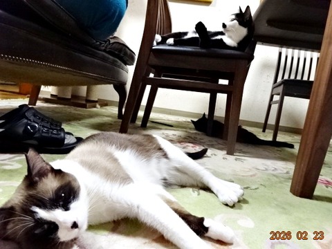 DSC01274-crop