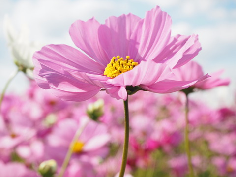 6BE424BE-047B-425B-9175-4F804DC4D5B2