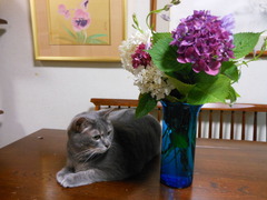 DSCN0857
